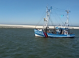 Kutterfahrt zu den Seehundbnken